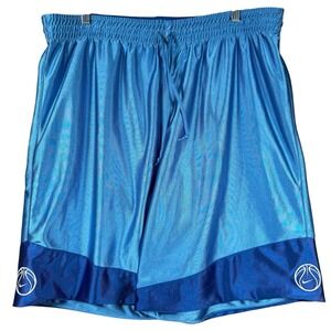 Vintage Nike Reversible Dazzle Shorts Mens Large Blue 9" Silver Tag Basketball